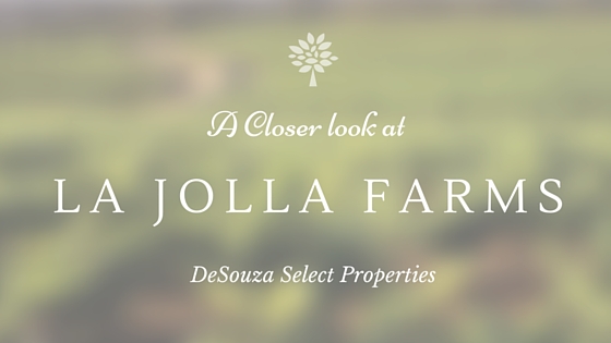Graphic that reads "A Closer Look at La Jolla Farms: DeSouza Select Properties"